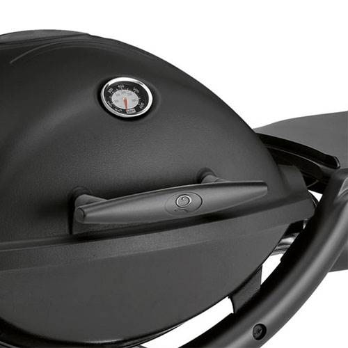 BARBACOA GAS WEBER Q2200 NEGR 54010049