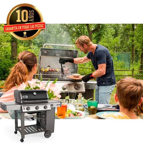 BARBACOA GAS WEBER GENESIS II E310 GBS 61011149