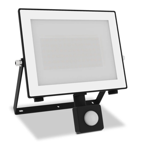 PROYECTOR PHILIPS LOIS FLOOD BL 50W 50K HV IR