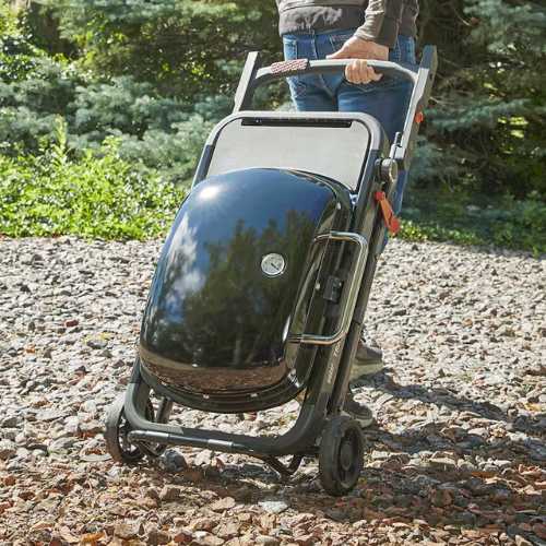BARBACOA GAS WEBER TRAVELER 1501745