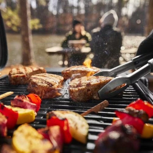 BARBACOA GAS WEBER TRAVELER COMPACT 1501750